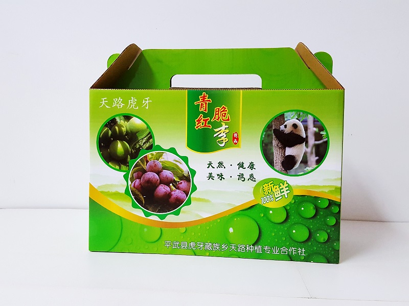 李子包装盒制作(手提礼盒) 李子包装盒制作(手提礼盒)